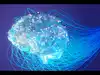 why most people fail at tripacks with visuals and examples: Latest News ...
