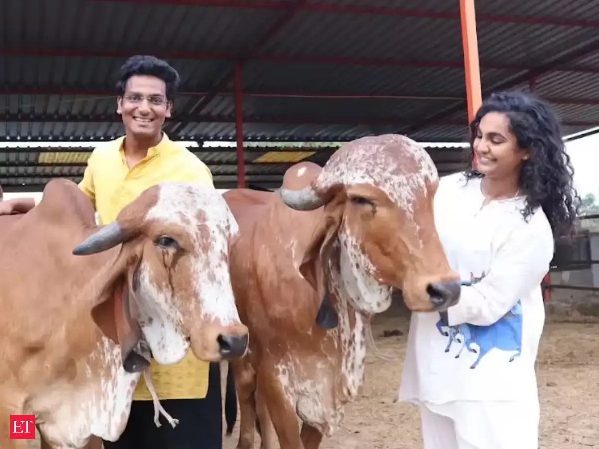He ditched engineering for 20 'rented' cows—now he’s running a multi-crore farm dream.