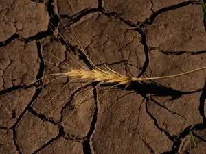 El Nino powers up as forecasters predict historic strength and a rainier winter for the US South