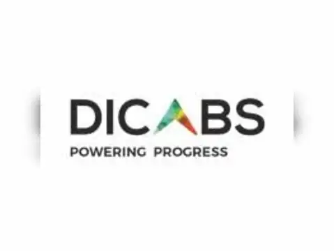 Diamond Power Infrastructure  