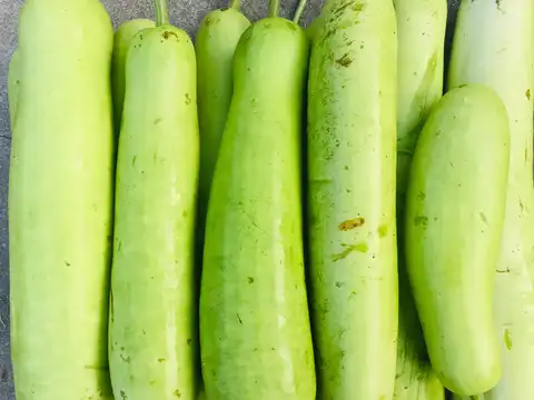 Gather the ingredients for healthy lauki ka halwa