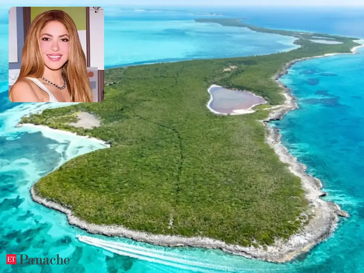 Shakira and Pink Floyd’s Roger Waters once owned a 650-acre private island in the Bahamas. Visioned to build boutique hotels and luxury apartments; now up for sale at $30 million