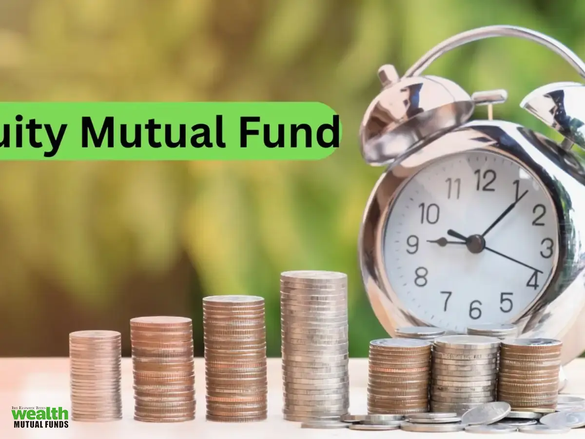 Investors shrug off bear party, put big money into equity mutual funds