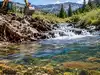 Wyoming reopened a blocked stream and cut non-native brook trout by 97%; native Snake River cutthroat trout then jumped more than 14-fold in just 3 years