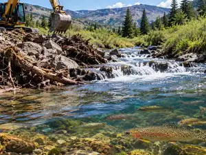 Wyoming reopened a blocked stream and cut non-native brook trout by 97% ...