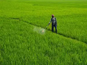 Bihar joins Maharashtra and Uttar Pradesh in restricting the sale of non-subsidised fertilisers.