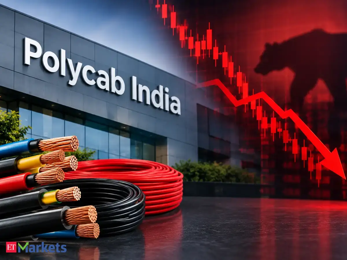 Polycab India shares fall 6% in two sessions. What’s triggering the selloff?
