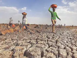 Warm days, nights likely in drought-hit Maha