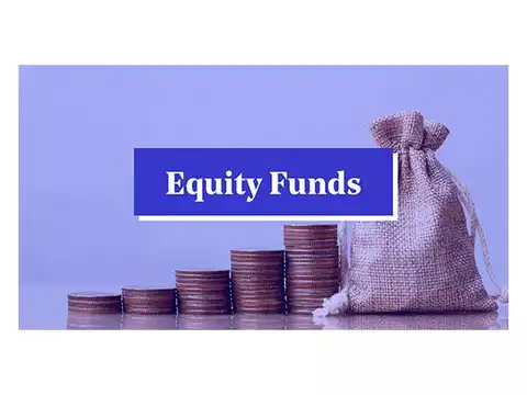 Equity Ex-Top 100 Long-Short Funds