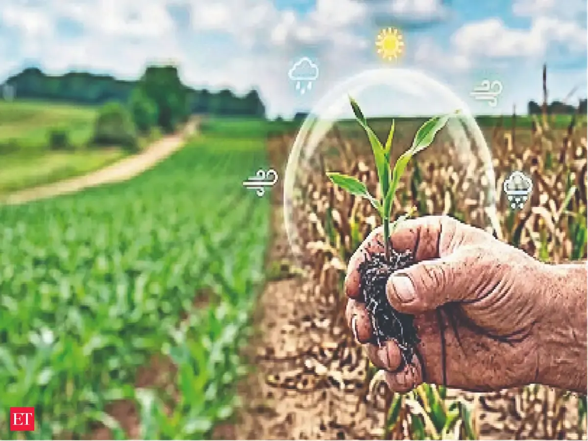 Insurers may face higher crop cover claims in Andhra Pradesh, Maharashtra, Karnataka