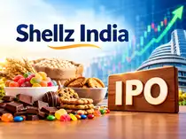 Shellz India SME IPO opens for subscription today: Check price band and key details<br>