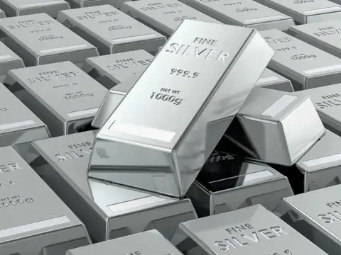How much silver can you keep without Income Tax trouble?