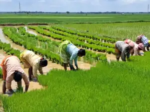 Celebrating women farmers' contribution beyond cinematic representation