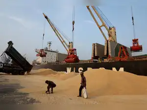 A worker collects a stone from soybean meal before loading it onto a cargo ship at the Deendayal Port in Kandla, in the western state of Gujarat, India, September 25, 2024.