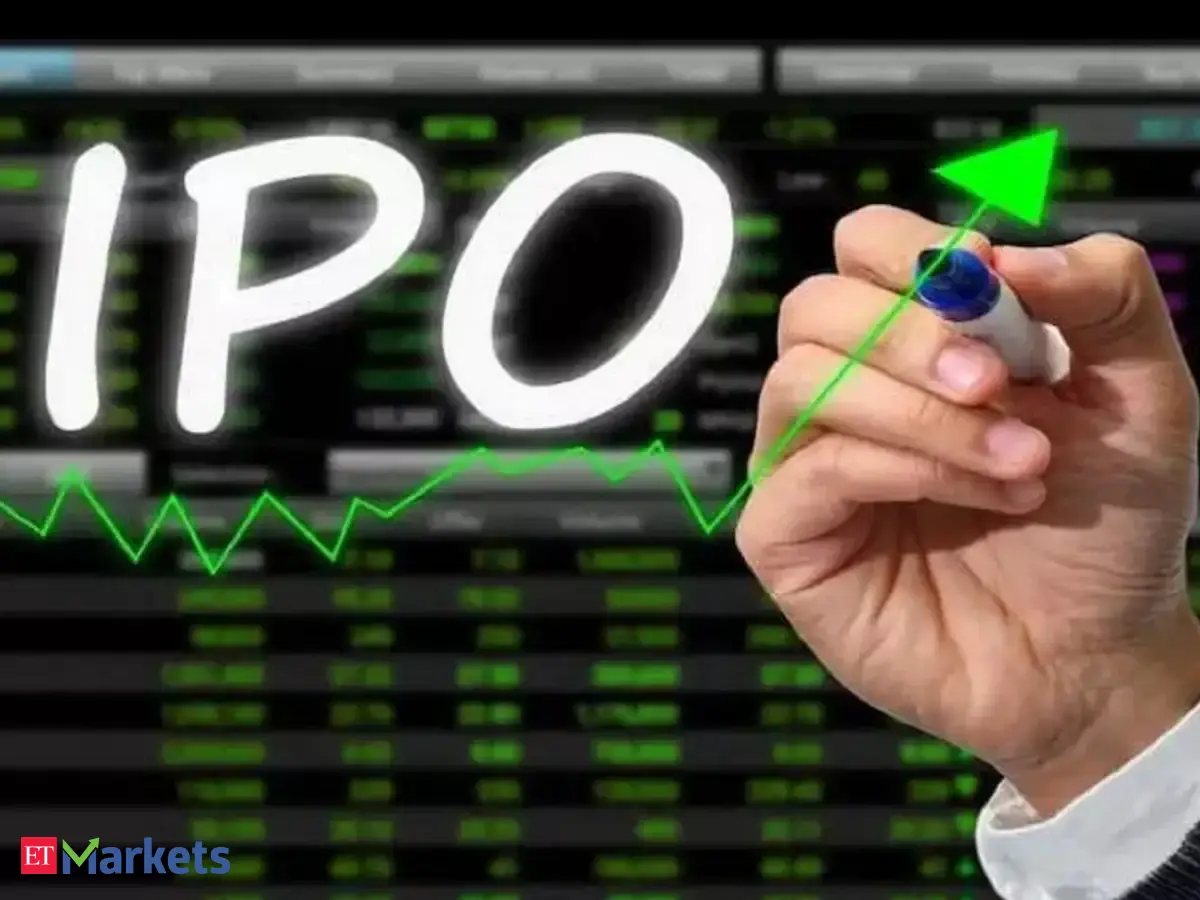 Bonfiglioli Transmissions plans Rs2,534 crore IPO