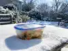 Snow can look like a free outdoor freezer, but frozen food may still thaw in direct winter sun; temperatures can change by the hour even while snow is falling