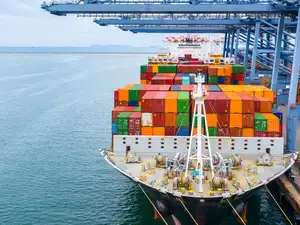 Jindal Paradip Port Ltd: Jindal Steel arm commissions Phase-I cargo ...