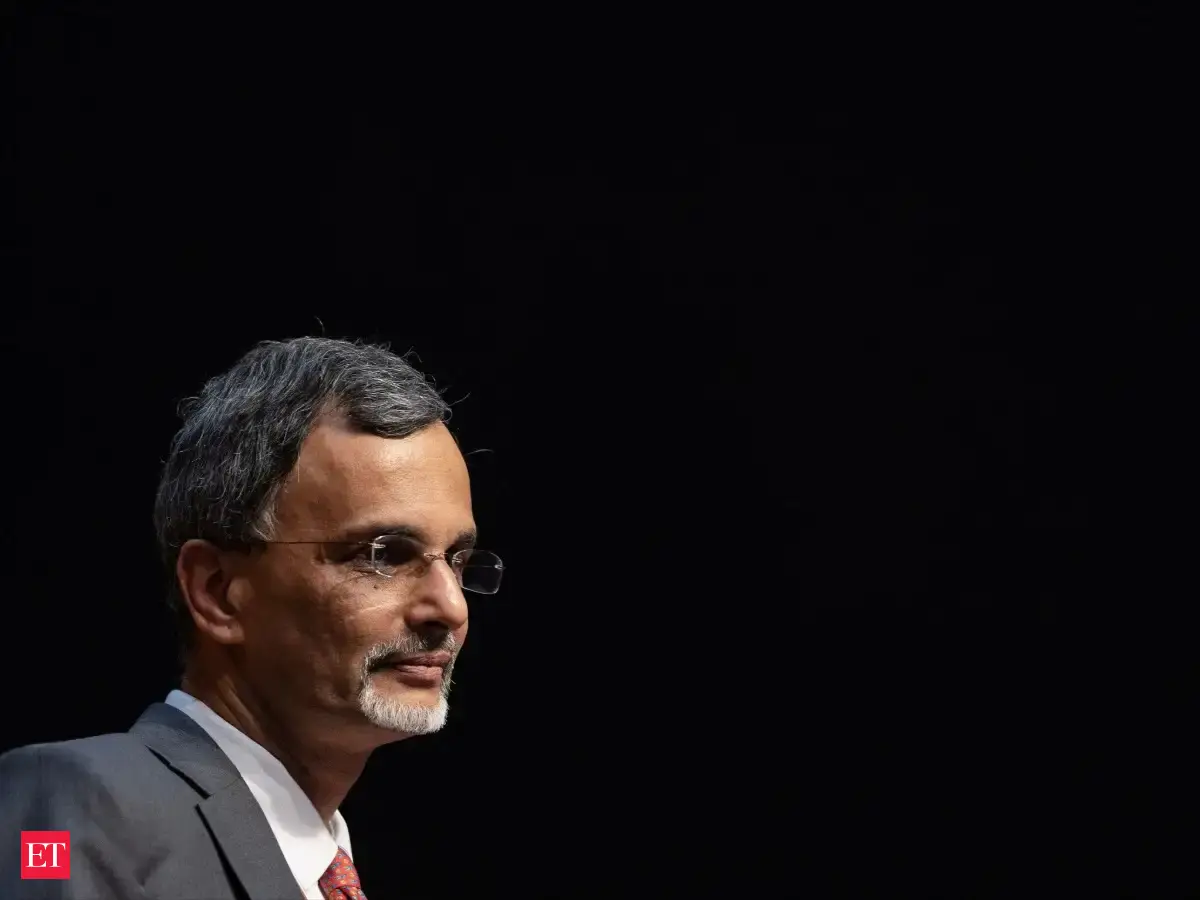 Who will pay for today's optimism if AI goes wrong? CEA Anantha Nageswaran answers