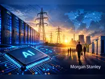 AI race may depend more on access to power, infrastructure than chip supply: Morgan Stanley<br>