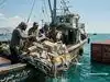 kplr analyst strait of hormuz: Latest News & Videos, Photos about kplr ...