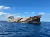 muhan marine solution company News and Updates from The Economic Times ...