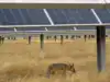 jsw renew energy five limited: Latest News & Videos, Photos about jsw ...