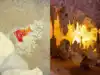 Stranger dropped a bag of Cheetos in America's largest caves, disrupting an entire ecosystem. It attracted fungi, flies and insects; Staff ended up preserving cave's formation