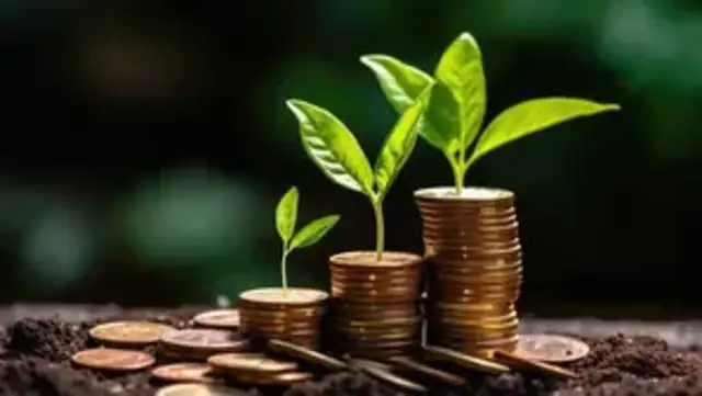 Single digit performers - Bandhan Small Cap among 5 smallcap mutual ...