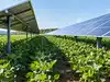 reliance solar panel warranty insurance policy download News and ...