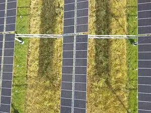 New policy in works to boost agrivoltaics in India; enhance farmers' income via energy generation