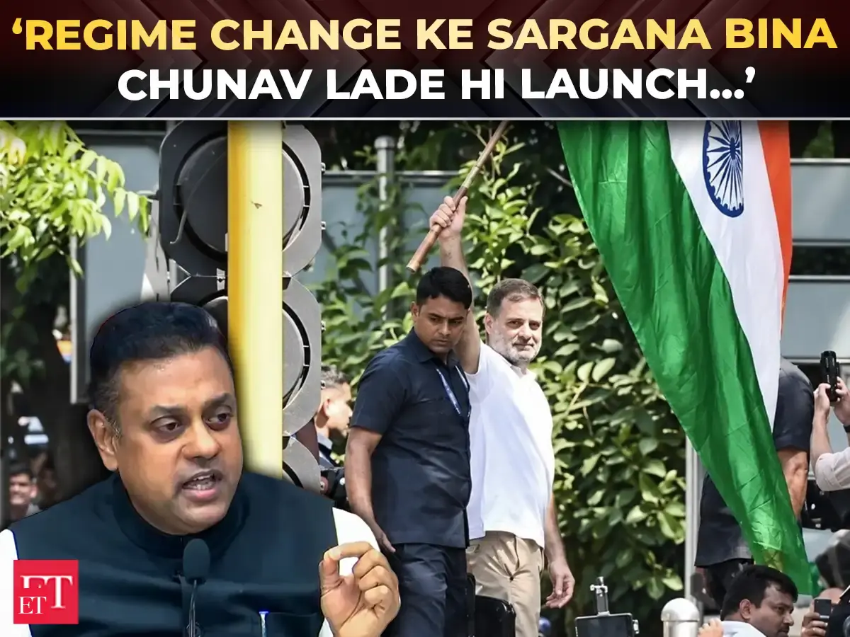 'Mastermind of Regime Change…': Patra slams Rahul Gandhi, calls out ...
