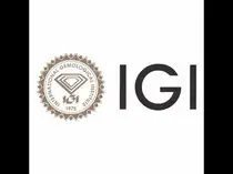 IGI Q2 Results: Consolidated PAT surges 43% to Rs 185 crore