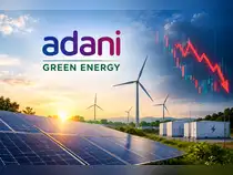 Adani Green Energy shares fall 4% after Q2 results. What are Jefferies, JM Financial saying?<br>