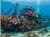 Texas sank a 113-metre cargo ship in 2017; What divers discovered just 7 months later was remarkable