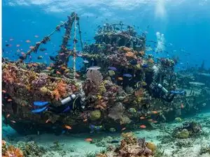 Texas sank a 113-metre cargo ship in 2017; What divers discovered just 7 months later was remarkable