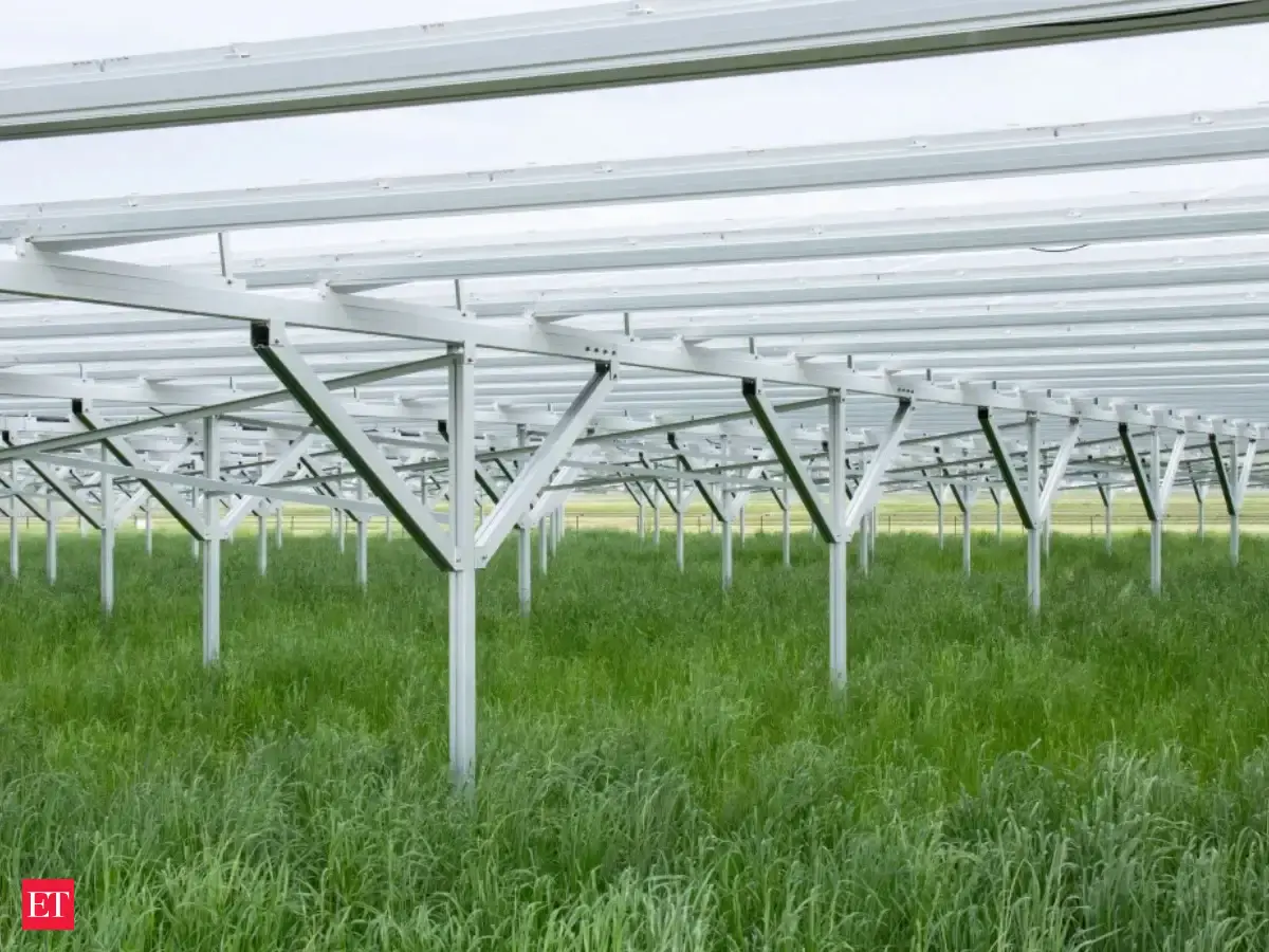 In 2019, Purdue began growing corn and soybeans around solar panels in Indiana; after 4 years, even the most shaded corn plots lost only 7.7 percent of their yield