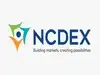 NCDEX launches NDEX and FINNDEX to expand into equity benchmarks