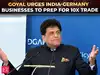 &lsquo;Trust is hardest currency in commerce today&rsquo;: Piyush Goyal sets &euro;310 bn India-Germany trade target