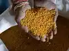 Chana sowing holds key to pulses inflation