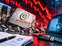 eMudhra shares crash another 4%, down 40% in 3 sessions. What's behind this free fall?<br>