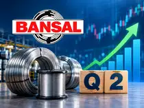 Bansal Wire Industries Q2 net profit jumps 38% to Rs 53 crore<br>