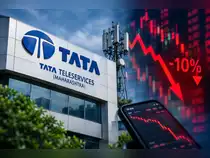 ​This Tata Group stock plunged 10% a day after rallying 19% post Q2 results. Do you own?<br>