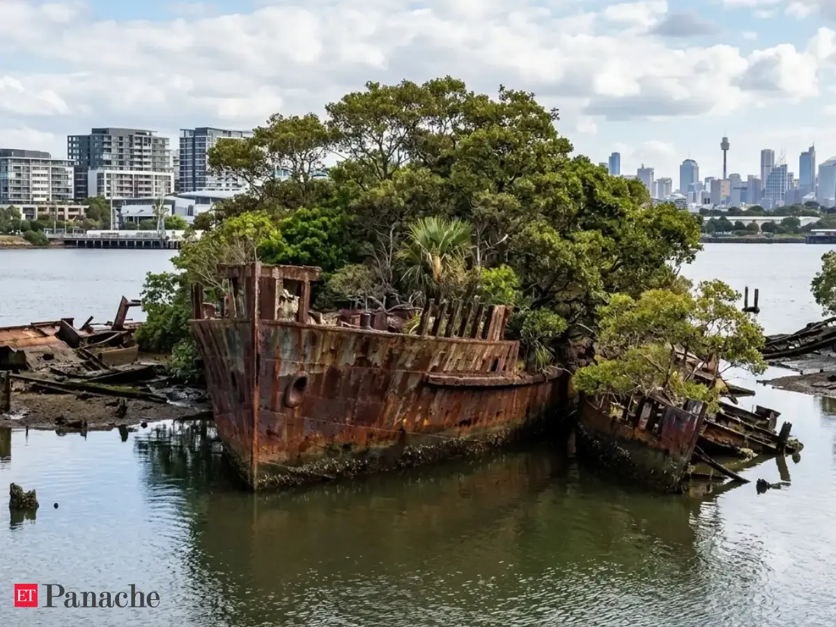 Australia’s 1,140-tonne, 79-meter shipwreck gets transformed into the largest floating mangrove forest, creating a haven for marine wildlife