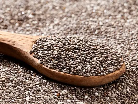 Loaded With Protein For A Plant-Based Start