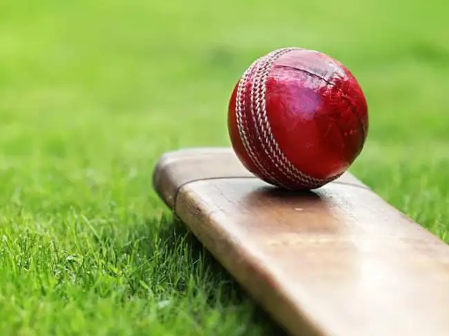 Pakistan wants to host all 2028 Women’s T20 World Cup matches, UAE ...