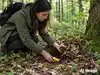 Buy gold, then leave it in a forest: Bizarre investment scam in Norway is making victims lose their savings; banks issue warning