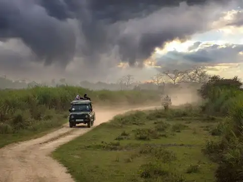 Which animals can you spot at Kaziranga