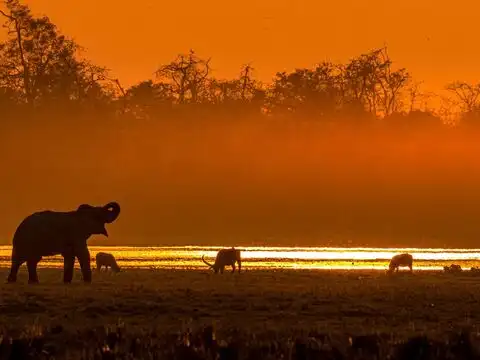 When is the best time to plan a Kaziranga trip