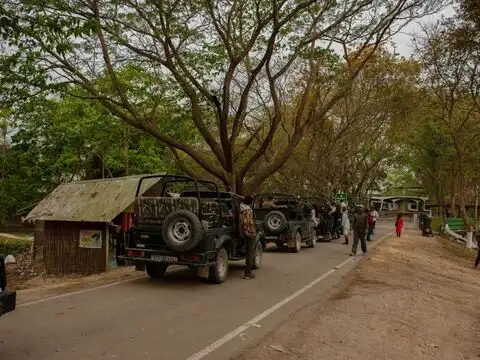 How to reach Kaziranga National Park
