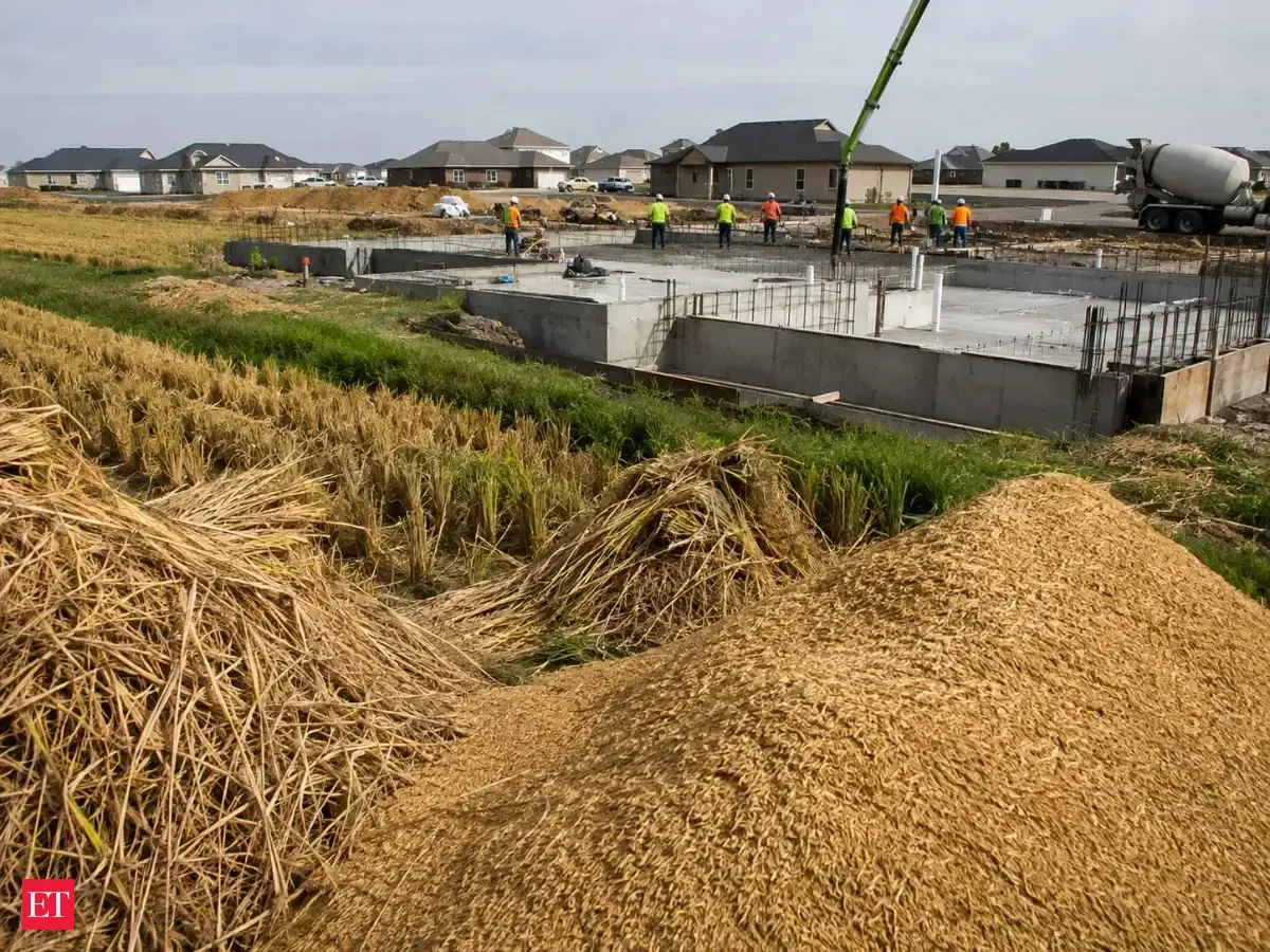 Rice husk panels offer US homeowners a durable, fire-resistant siding ...